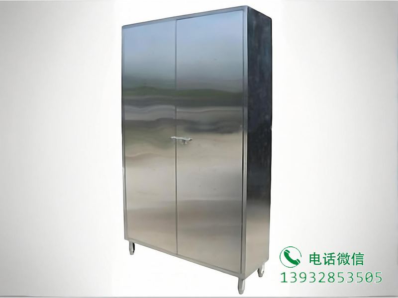 兴宁双门置物柜
